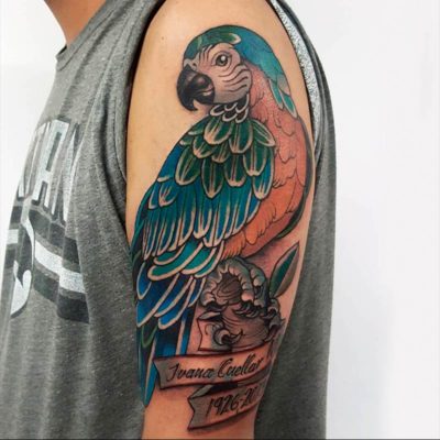 Tatuaje de guacamaya – Creado por Christopher | Infierno Tatuajes