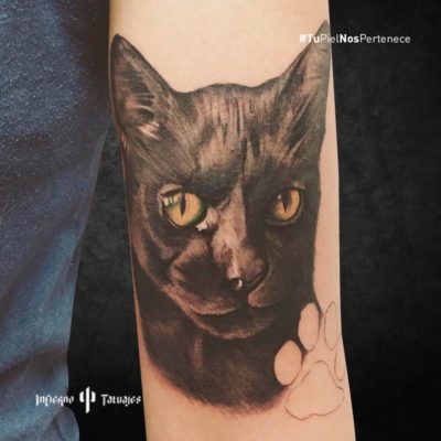 tatuaje de gato negro, tatuajes de animales, ideas de tatuajes en el antebrazo, estudio de tatuajes en coyoacán, infierno tatuajes