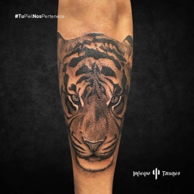 tatuaje de tigre, tatuaje de tigre en el antebrazo, tatuajes en el antebrazo, infierno tatuajes, estudio de tatuajes